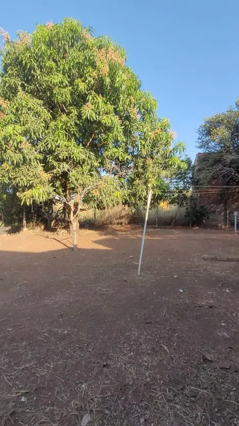 Comprar Rural / Ch&aacute;cara em S&atilde;o Jos&eacute; do Rio Preto R$ 450.000,00 - Foto 16