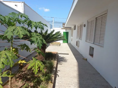 Comprar Casa / Padr&atilde;o em S&atilde;o Jos&eacute; do Rio Preto R$ 5.000.000,00 - Foto 27