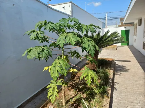 Comprar Casa / Padr&atilde;o em S&atilde;o Jos&eacute; do Rio Preto R$ 5.000.000,00 - Foto 28