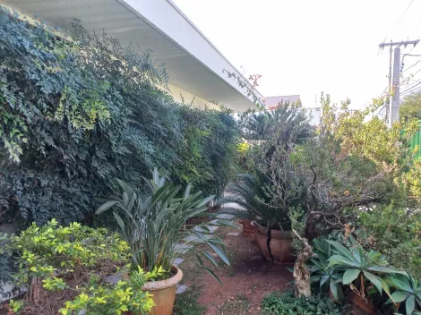 Comprar Casa / Padr&atilde;o em S&atilde;o Jos&eacute; do Rio Preto R$ 5.000.000,00 - Foto 33