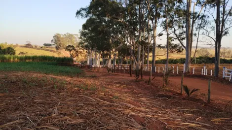 Rural / S&iacute;tio em Am&eacute;rico de Campos 