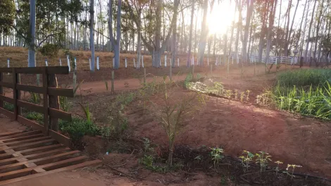 Comprar Rural / S&iacute;tio em Am&eacute;rico de Campos R$ 1.260.000,00 - Foto 2