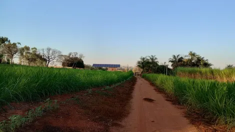 Comprar Rural / S&iacute;tio em Am&eacute;rico de Campos R$ 1.260.000,00 - Foto 4