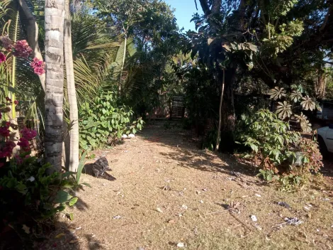 Comprar Rural / S&iacute;tio em Am&eacute;rico de Campos R$ 1.260.000,00 - Foto 5