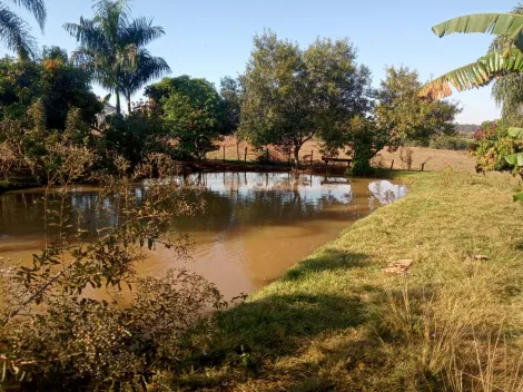 Comprar Rural / S&iacute;tio em Am&eacute;rico de Campos R$ 1.260.000,00 - Foto 6