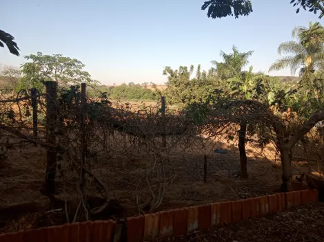 Comprar Rural / S&iacute;tio em Am&eacute;rico de Campos R$ 1.260.000,00 - Foto 7