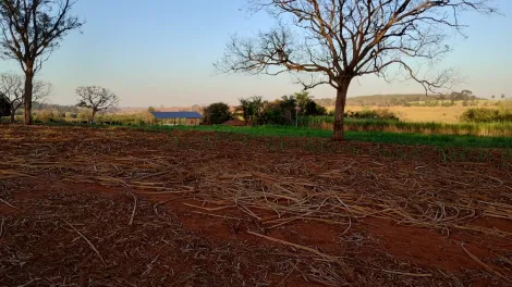Comprar Rural / S&iacute;tio em Am&eacute;rico de Campos R$ 1.260.000,00 - Foto 8