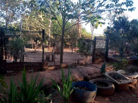 Comprar Rural / S&iacute;tio em Am&eacute;rico de Campos R$ 1.260.000,00 - Foto 9