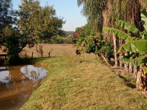 Comprar Rural / S&iacute;tio em Am&eacute;rico de Campos R$ 1.260.000,00 - Foto 11