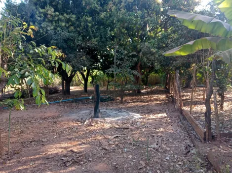Comprar Rural / S&iacute;tio em Am&eacute;rico de Campos R$ 1.260.000,00 - Foto 10