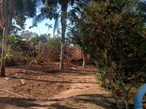 Comprar Rural / S&iacute;tio em Am&eacute;rico de Campos R$ 1.260.000,00 - Foto 12
