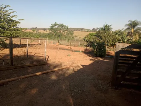 Comprar Rural / S&iacute;tio em Am&eacute;rico de Campos R$ 1.260.000,00 - Foto 13