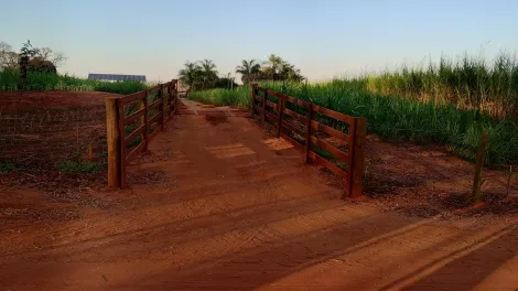 Comprar Rural / S&iacute;tio em Am&eacute;rico de Campos R$ 1.260.000,00 - Foto 14