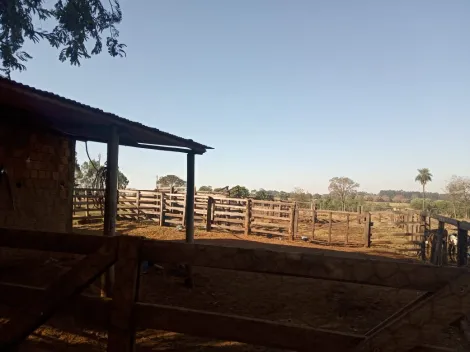 Comprar Rural / S&iacute;tio em Am&eacute;rico de Campos R$ 1.260.000,00 - Foto 16