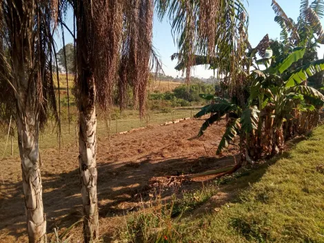 Comprar Rural / S&iacute;tio em Am&eacute;rico de Campos R$ 1.260.000,00 - Foto 17