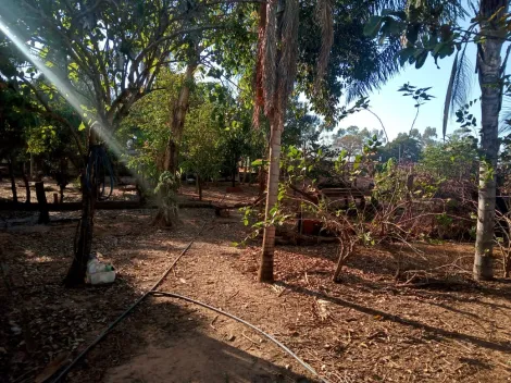 Comprar Rural / S&iacute;tio em Am&eacute;rico de Campos R$ 1.260.000,00 - Foto 18