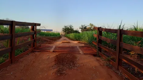 Comprar Rural / S&iacute;tio em Am&eacute;rico de Campos R$ 1.260.000,00 - Foto 19