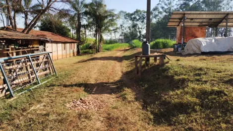 Comprar Rural / S&iacute;tio em Am&eacute;rico de Campos R$ 1.260.000,00 - Foto 21