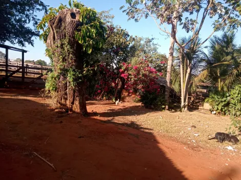 Comprar Rural / S&iacute;tio em Am&eacute;rico de Campos R$ 1.260.000,00 - Foto 22
