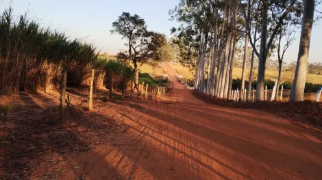 Comprar Rural / S&iacute;tio em Am&eacute;rico de Campos R$ 1.260.000,00 - Foto 23
