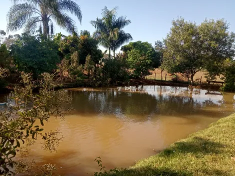 Comprar Rural / S&iacute;tio em Am&eacute;rico de Campos R$ 1.260.000,00 - Foto 24
