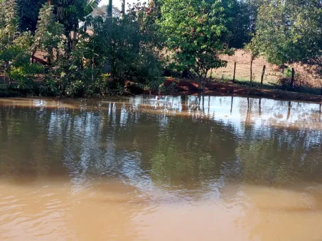 Comprar Rural / S&iacute;tio em Am&eacute;rico de Campos R$ 1.260.000,00 - Foto 26