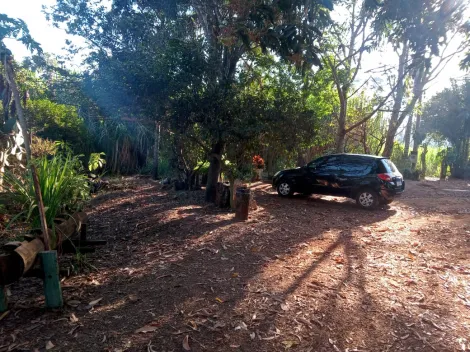 Comprar Rural / S&iacute;tio em Am&eacute;rico de Campos R$ 1.260.000,00 - Foto 27