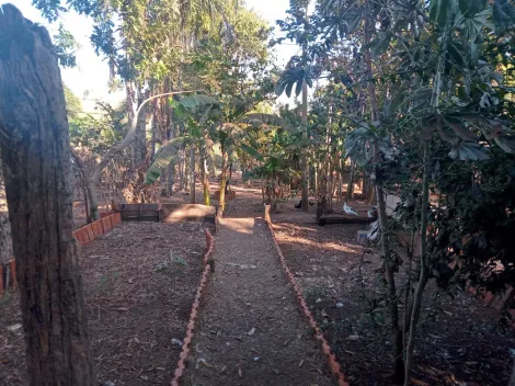 Comprar Rural / S&iacute;tio em Am&eacute;rico de Campos R$ 1.260.000,00 - Foto 29