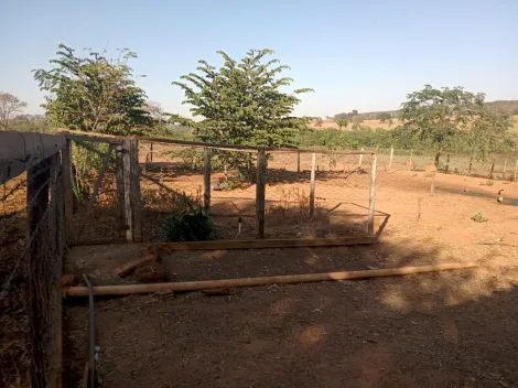 Comprar Rural / S&iacute;tio em Am&eacute;rico de Campos R$ 1.260.000,00 - Foto 30