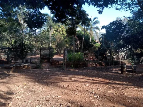 Comprar Rural / S&iacute;tio em Am&eacute;rico de Campos R$ 1.260.000,00 - Foto 31
