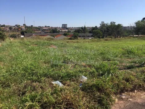 Terreno / Padr&atilde;o em Bady Bassitt 