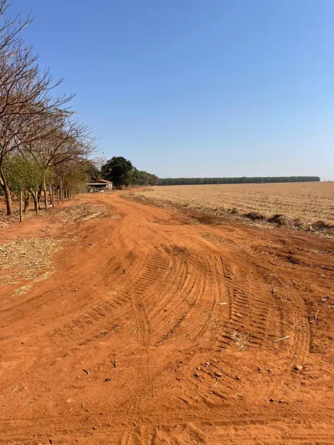 Comprar Rural / Fazenda em Frutal R$ 13.500.000,00 - Foto 3