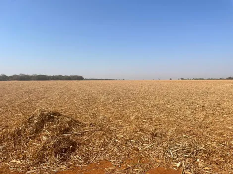 Comprar Rural / Fazenda em Frutal R$ 13.500.000,00 - Foto 7