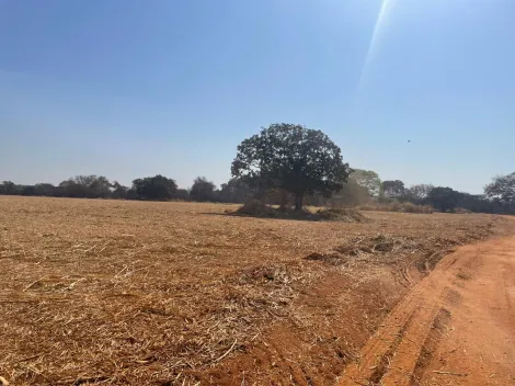 Comprar Rural / Fazenda em Frutal R$ 13.500.000,00 - Foto 9