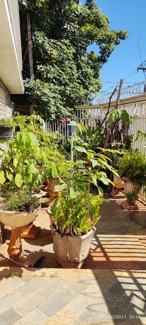 Comprar Casa / Padr&atilde;o em S&atilde;o Jos&eacute; do Rio Preto R$ 390.000,00 - Foto 2