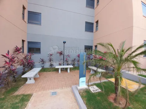 Comprar Apartamento / Padr&atilde;o em S&atilde;o Jos&eacute; do Rio Preto R$ 300.000,00 - Foto 20