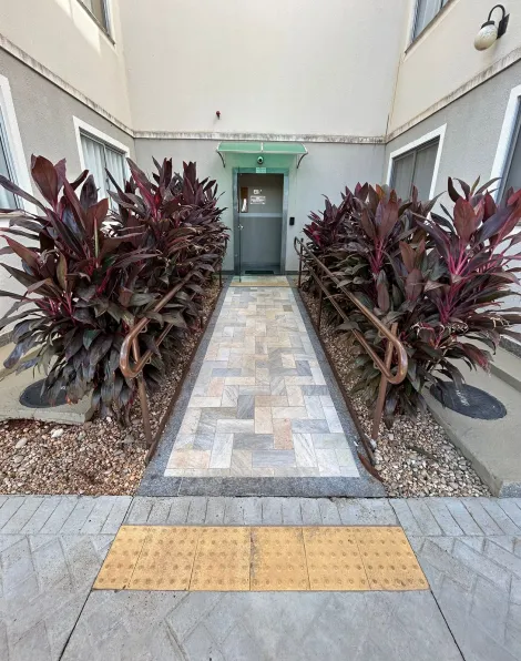 Alugar Apartamento / Padr&atilde;o em S&atilde;o Jos&eacute; do Rio Preto R$ 750,00 - Foto 7
