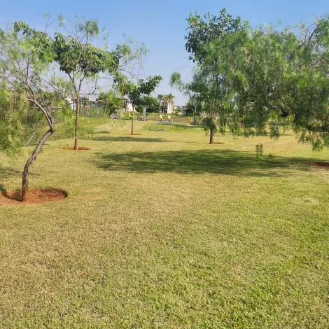 Alugar Terreno / Condom&iacute;nio em Ipigu&aacute;. apenas R$ 115.000,00