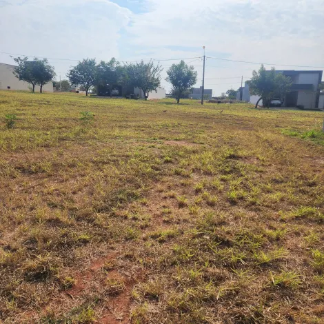 Comprar Terreno / Condom&iacute;nio em Ipigu&aacute; R$ 115.000,00 - Foto 6