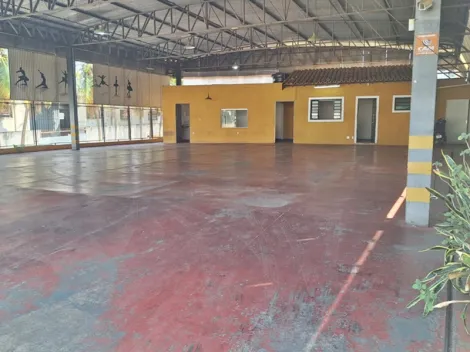 Alugar Comercial / Sal&atilde;o em S&atilde;o Jos&eacute; do Rio Preto R$ 5.500,00 - Foto 4