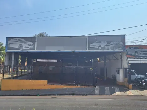 Comercial / Sal&atilde;o em S&atilde;o Jos&eacute; do Rio Preto 