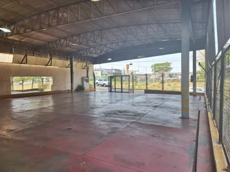 Alugar Comercial / Sal&atilde;o em S&atilde;o Jos&eacute; do Rio Preto R$ 5.500,00 - Foto 5