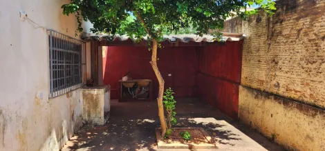 Alugar Casa / Padr&atilde;o em S&atilde;o Jos&eacute; do Rio Preto R$ 1.500,00 - Foto 4