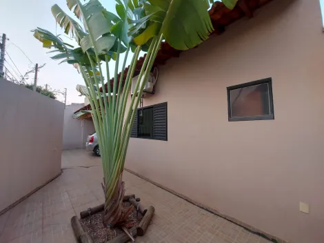 Comprar Casa / Padr&atilde;o em S&atilde;o Jos&eacute; do Rio Preto R$ 500.000,00 - Foto 16