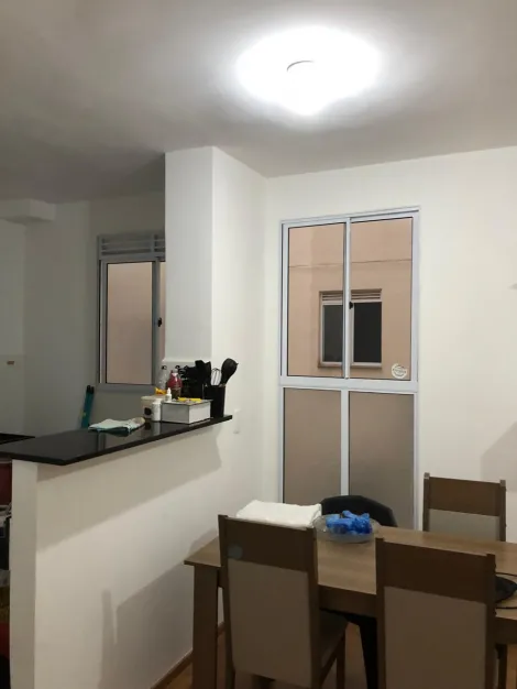 Apartamento / Padr&atilde;o em S&atilde;o Jos&eacute; do Rio Preto 