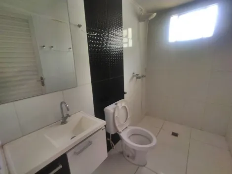 Alugar Casa / Padr&atilde;o em S&atilde;o Jos&eacute; do Rio Preto R$ 1.700,00 - Foto 15