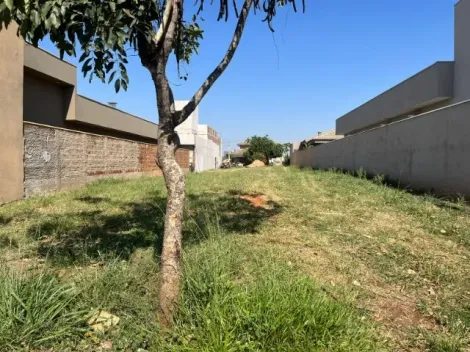 Comprar Terreno / Condom&iacute;nio em Bady Bassitt R$ 280.000,00 - Foto 2
