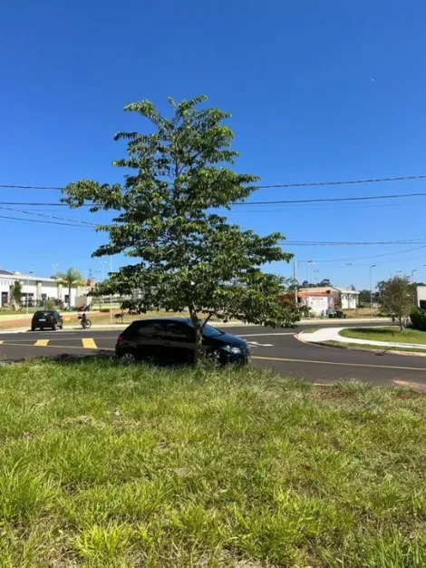 Comprar Terreno / Condom&iacute;nio em Mirassol R$ 210.000,00 - Foto 2