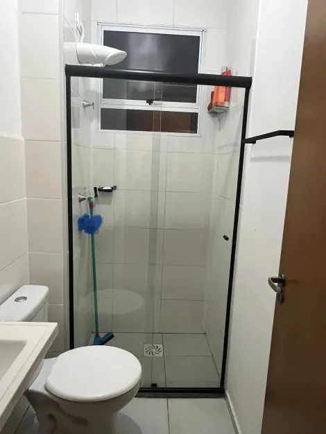 Alugar Apartamento / Padr&atilde;o em S&atilde;o Jos&eacute; do Rio Preto R$ 1.500,00 - Foto 9