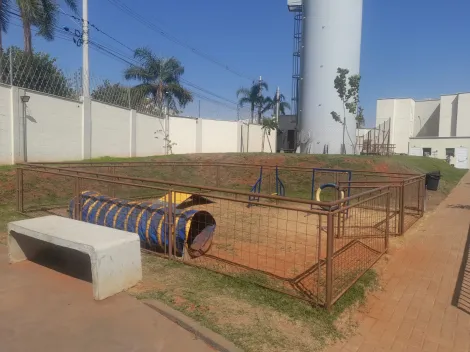 Alugar Apartamento / Padr&atilde;o em S&atilde;o Jos&eacute; do Rio Preto R$ 1.500,00 - Foto 20